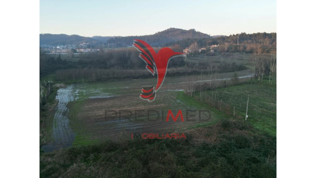 Terreno para Venda em Briteiros Santo Estêvão e Donim Foto 7