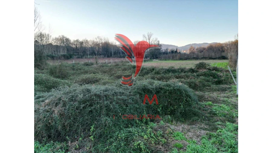 Terreno para Venda em Briteiros Santo Estêvão e Donim Foto 6