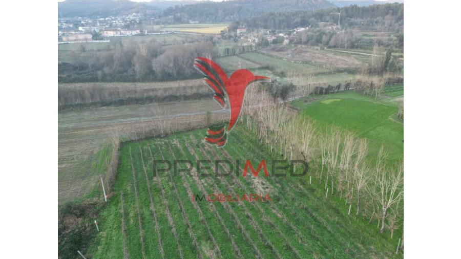 Terreno para Venda em Briteiros Santo Estêvão e Donim Foto 5