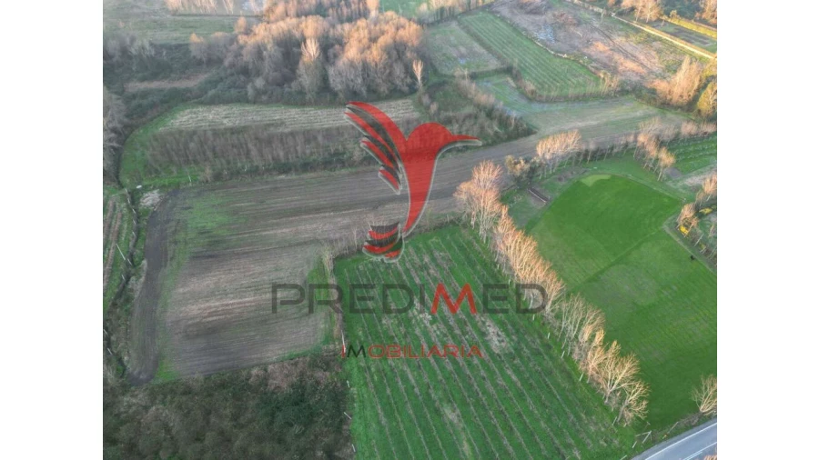 Terreno para Venda em Briteiros Santo Estêvão e Donim Foto 3