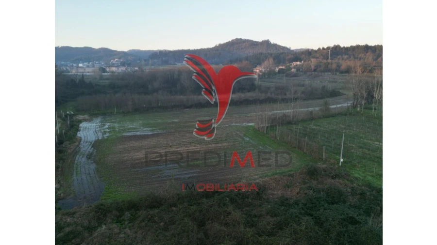 Terreno para Venda em Briteiros Santo Estêvão e Donim Foto 7