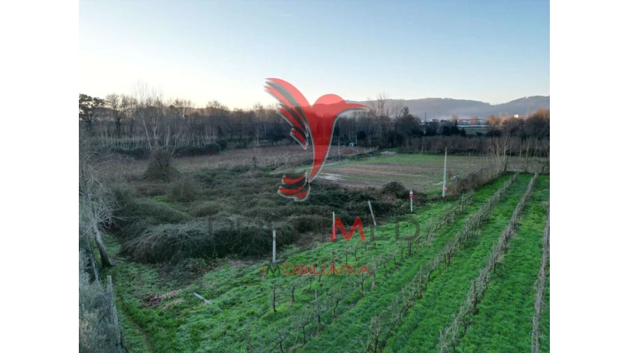 Terreno para Venda em Briteiros Santo Estêvão e Donim Foto 4
