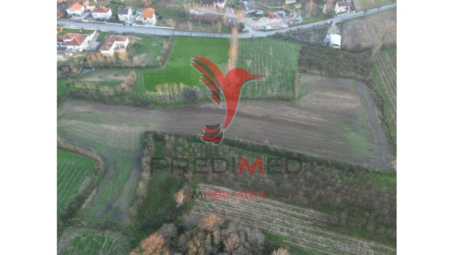 Terreno para Venda em Briteiros Santo Estêvão e Donim Foto 2