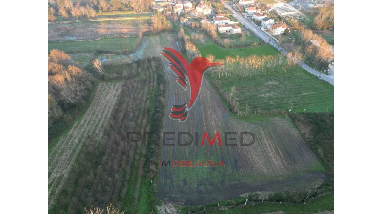 Terreno para Venda em Briteiros Santo Estêvão e Donim Foto 1