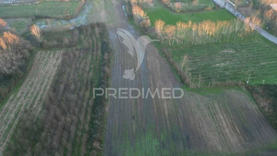 Terreno para Venda em Briteiros Santo Estêvão e Donim
