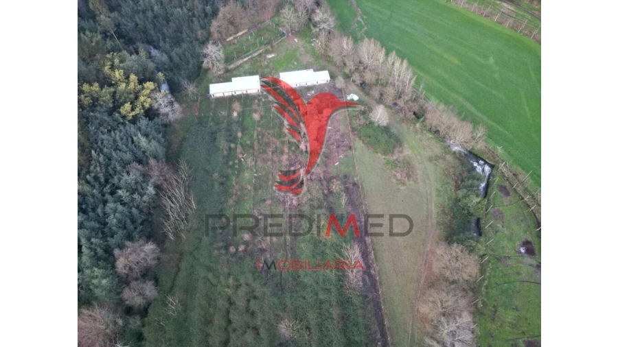 Terreno para Venda em Briteiros São Salvador e Briteiros Santa Leocádia Foto 7