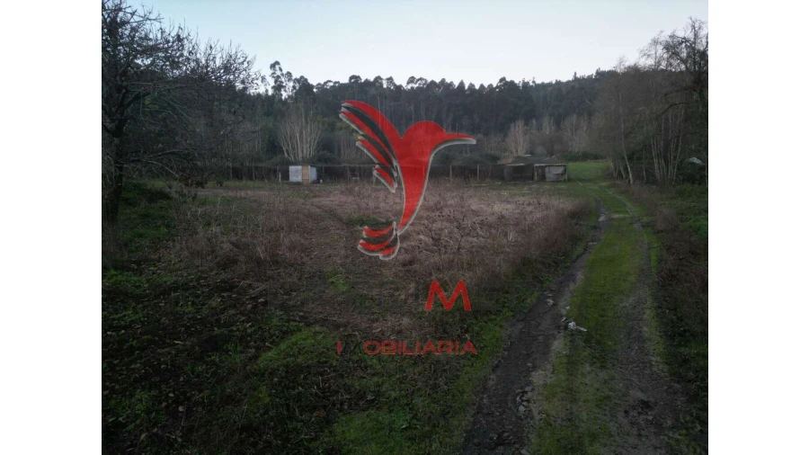 Terreno para Venda em Briteiros São Salvador e Briteiros Santa Leocádia Foto 14