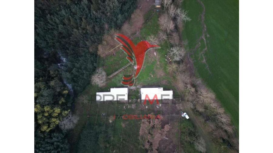 Terreno para Venda em Briteiros São Salvador e Briteiros Santa Leocádia Foto 9