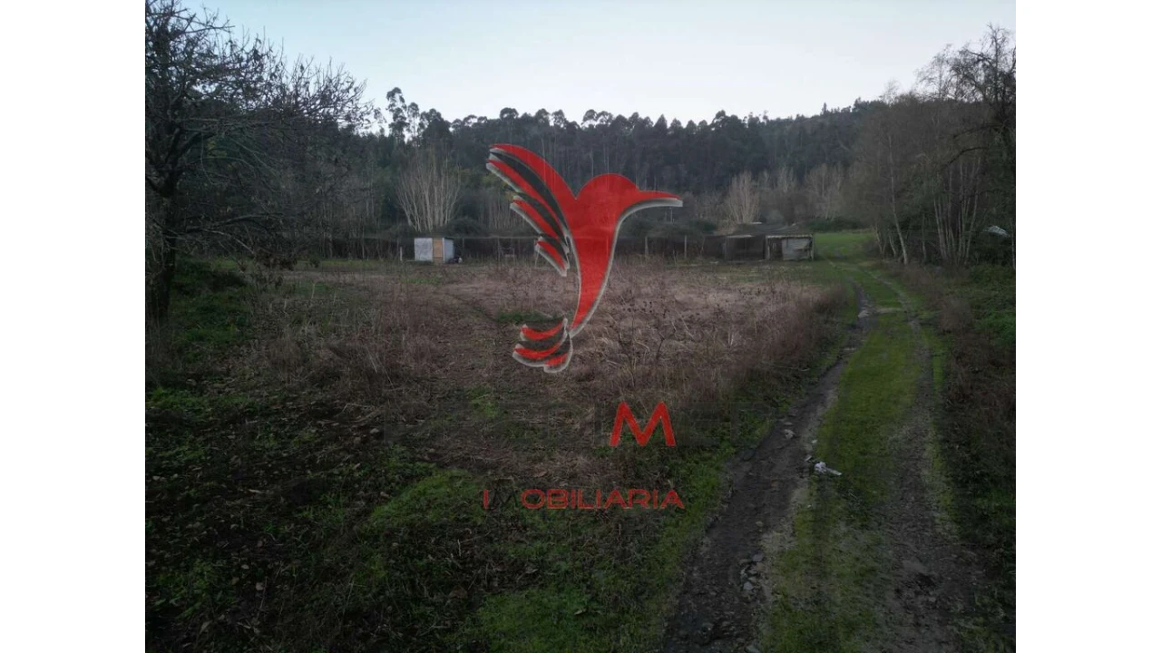 Terreno para Venda em Briteiros São Salvador e Briteiros Santa Leocádia Foto 14