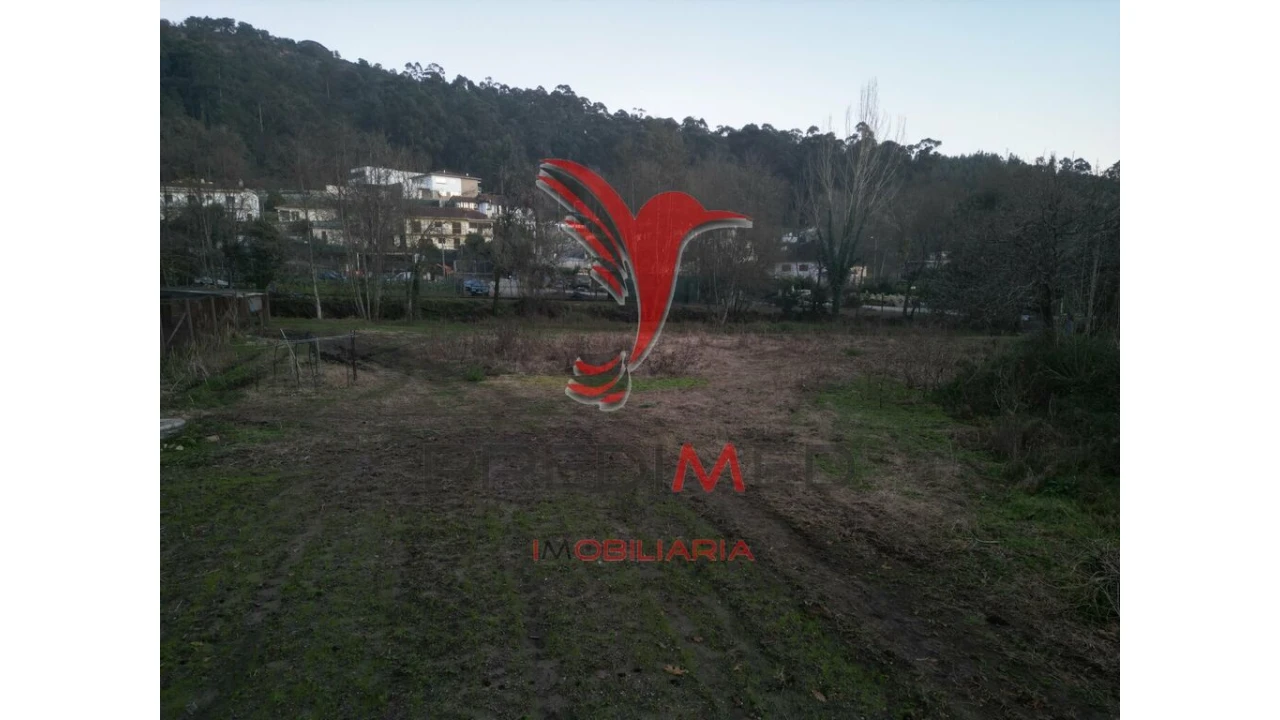 Terreno para Venda em Briteiros São Salvador e Briteiros Santa Leocádia Foto 13