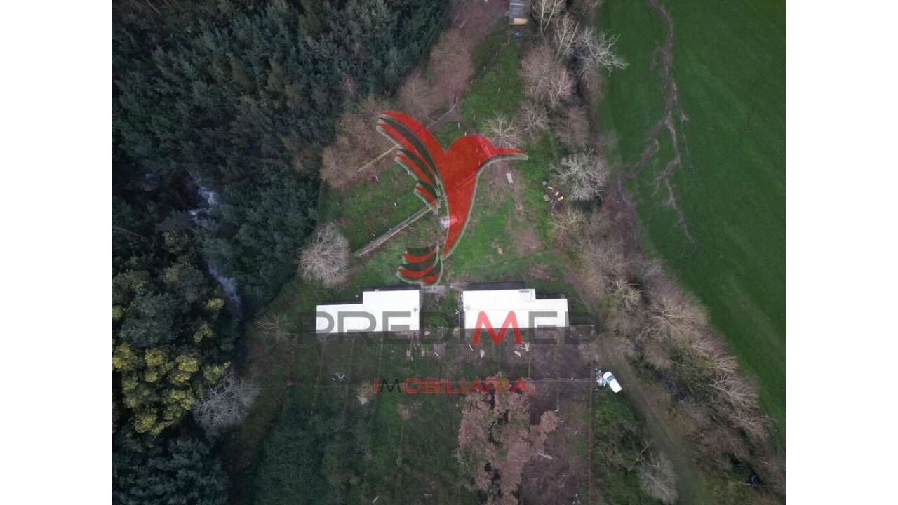 Terreno para Venda em Briteiros São Salvador e Briteiros Santa Leocádia Foto 9