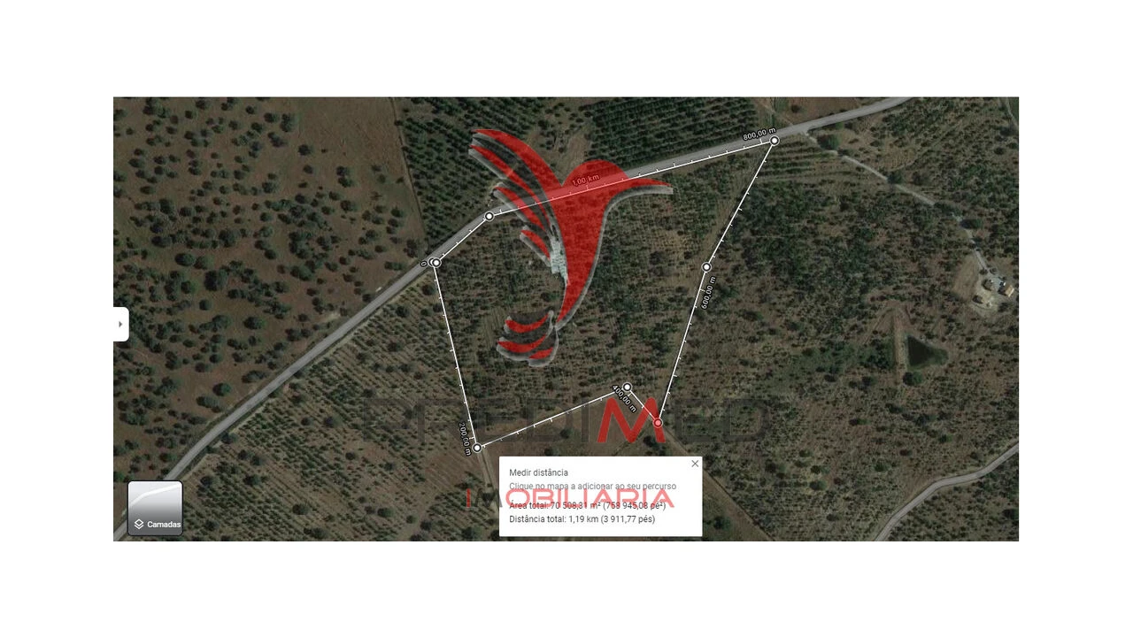 Terreno para Venda em Ourique Foto 16