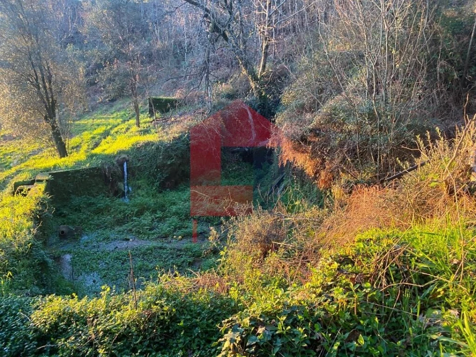 Quinta T5 para Venda em Vilela, Seramil e Paredes Secas Foto 32