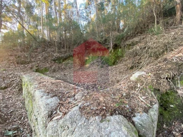 Quinta T5 para Venda em Vilela, Seramil e Paredes Secas