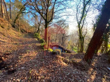 Quinta T5 para Venda em Vilela, Seramil e Paredes Secas
