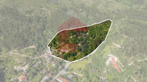 Quinta T5 para Venda em Vilela, Seramil e Paredes Secas