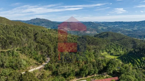 Quinta T5 para Venda em Vilela, Seramil e Paredes Secas