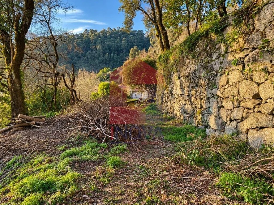 Quinta T5 para Venda em Vilela, Seramil e Paredes Secas Foto 15