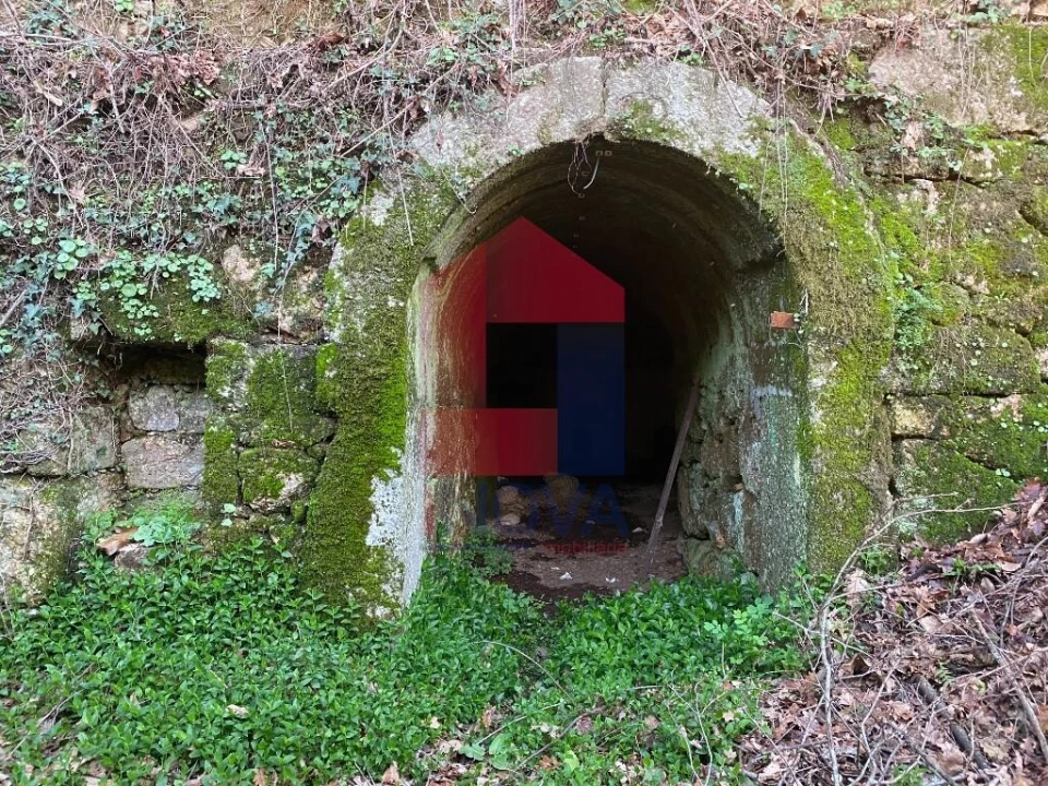 Quinta T5 para Venda em Vilela, Seramil e Paredes Secas Foto 34