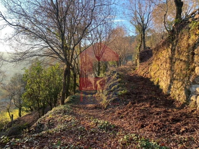 Quinta T5 para Venda em Vilela, Seramil e Paredes Secas Foto 20