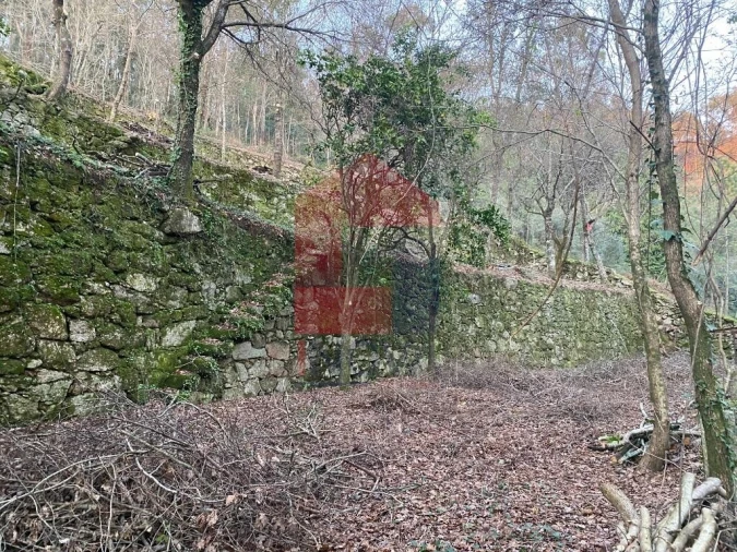 Quinta T5 para Venda em Vilela, Seramil e Paredes Secas Foto 33