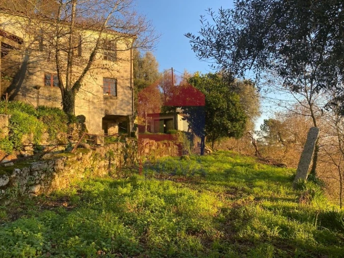 Quinta T5 para Venda em Vilela, Seramil e Paredes Secas Foto 39