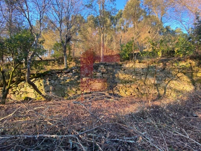 Quinta T5 para Venda em Vilela, Seramil e Paredes Secas Foto 19