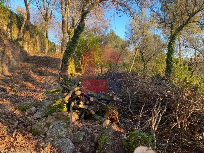 Quinta T5 para Venda em Vilela, Seramil e Paredes Secas Foto 17