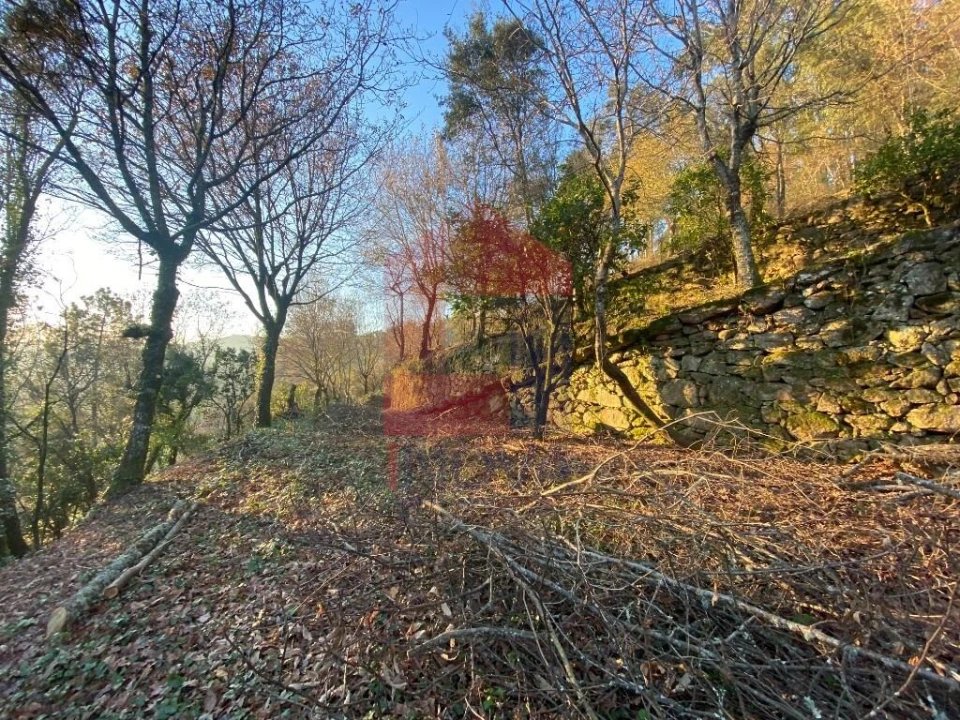 Quinta T5 para Venda em Vilela, Seramil e Paredes Secas Foto 22
