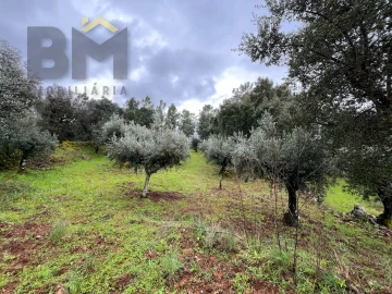 Terreno Agricola ou Rústico para Venda em Freixial e Juncal do Campo