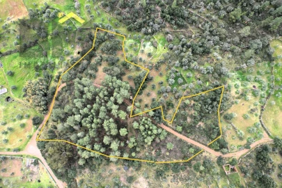 Terreno Agricola ou Rústico para Venda em Freixial e Juncal do Campo