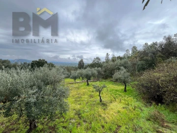 Terreno Agricola ou Rústico para Venda em Freixial e Juncal do Campo
