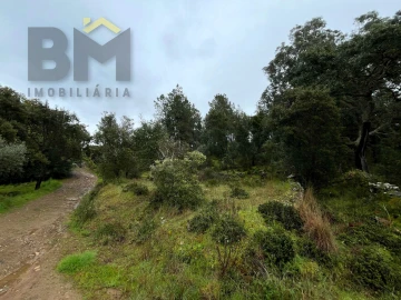 Terreno Agricola ou Rústico para Venda em Freixial e Juncal do Campo