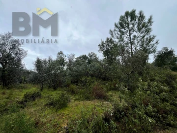Terreno Agricola ou Rústico para Venda em Freixial e Juncal do Campo