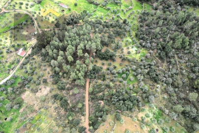 Terreno Agricola ou Rústico para Venda em Freixial e Juncal do Campo
