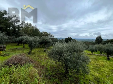 Terreno Agricola ou Rústico para Venda em Freixial e Juncal do Campo