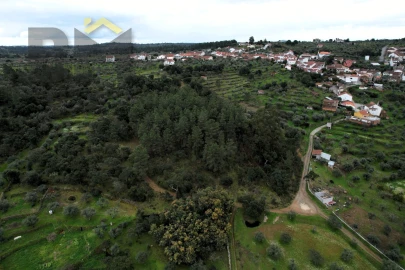 Terreno Agricola ou Rústico para Venda em Freixial e Juncal do Campo
