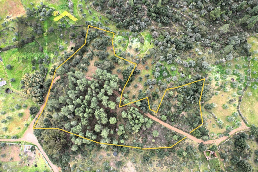 Terreno Agricola ou Rústico para Venda em Freixial e Juncal do Campo Foto 3