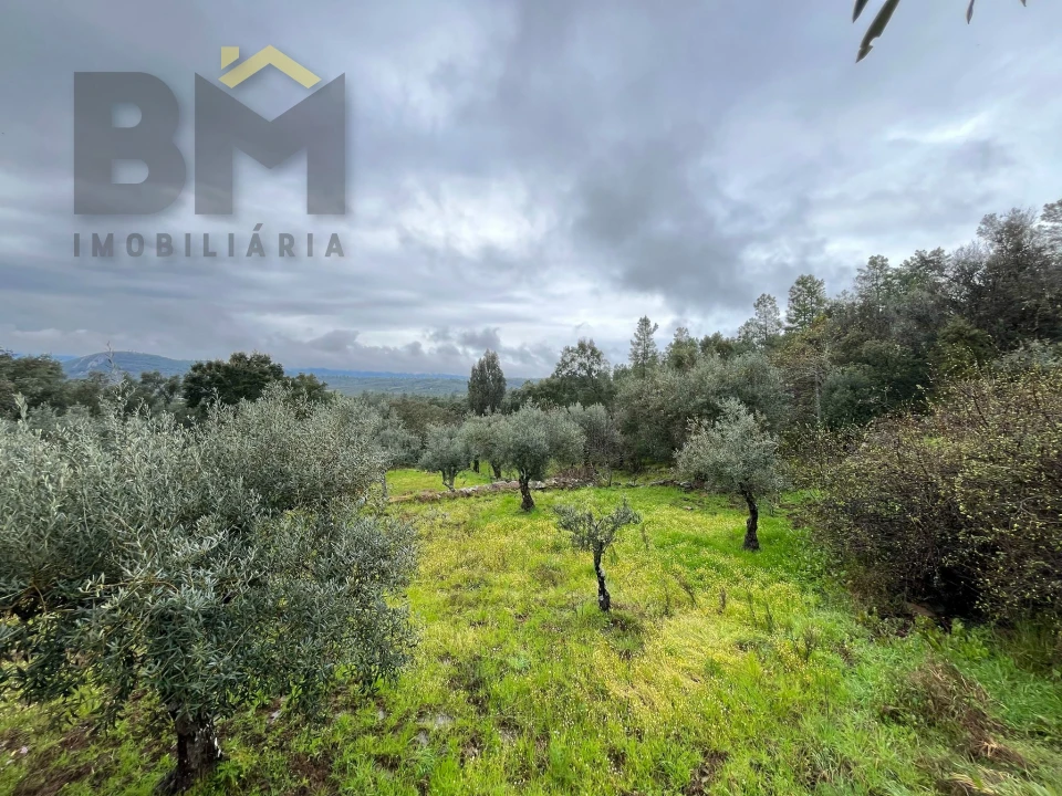 Terreno Agricola ou Rústico para Venda em Freixial e Juncal do Campo Foto 1