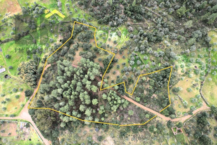 Terreno Agricola ou Rústico para Venda em Freixial e Juncal do Campo Foto 3