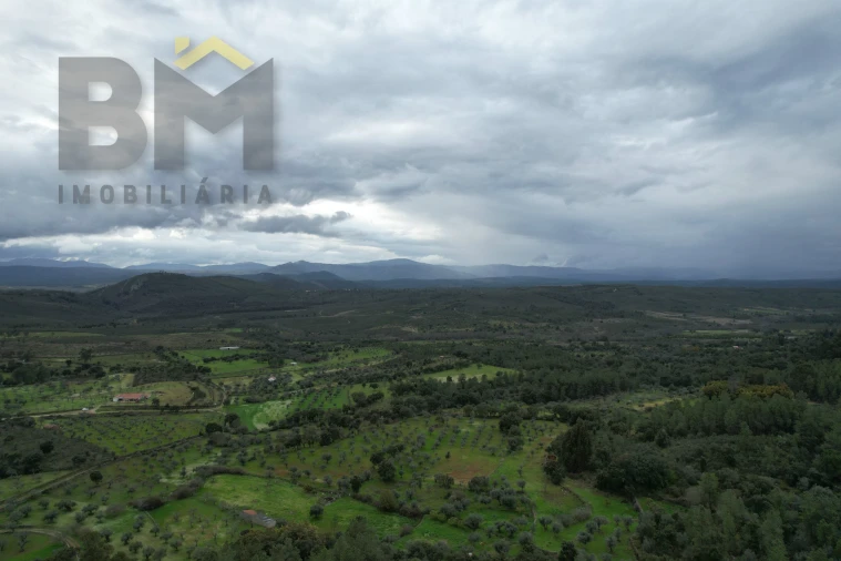 Terreno Agricola ou Rústico para Venda em Freixial e Juncal do Campo Foto 16