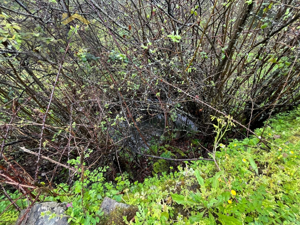 Terreno Agricola ou Rústico para Venda em Freixial e Juncal do Campo Foto 5