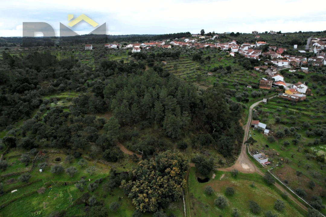 Terreno Agricola ou Rústico para Venda em Freixial e Juncal do Campo Foto 18