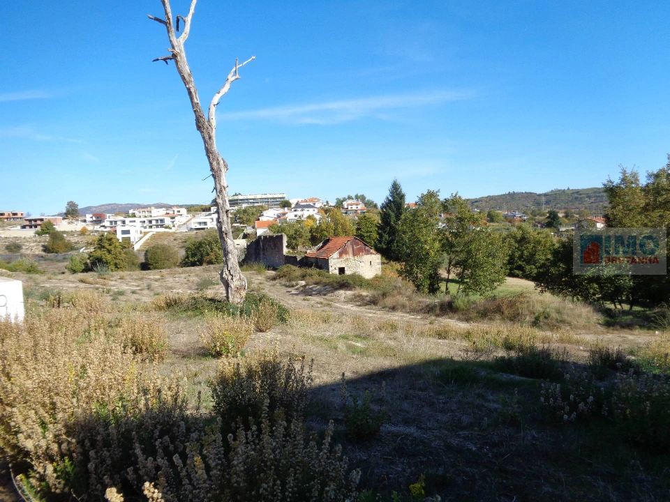 Terreno Misto para Venda em Teixoso e Sarzedo Foto 11