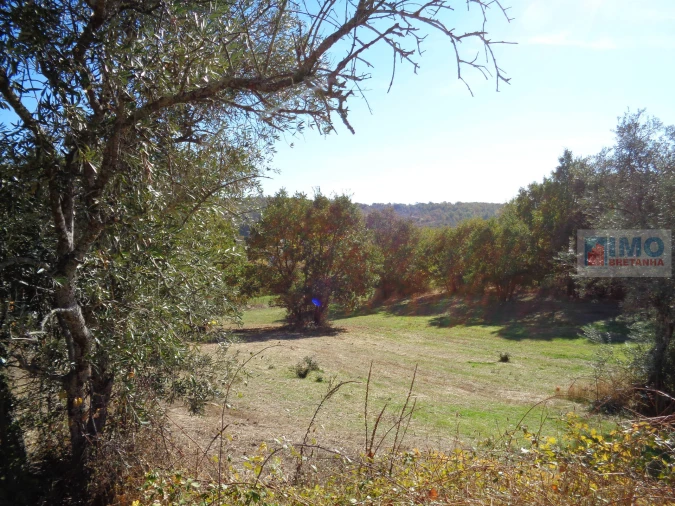 Terreno Misto para Venda em Teixoso e Sarzedo Foto 6