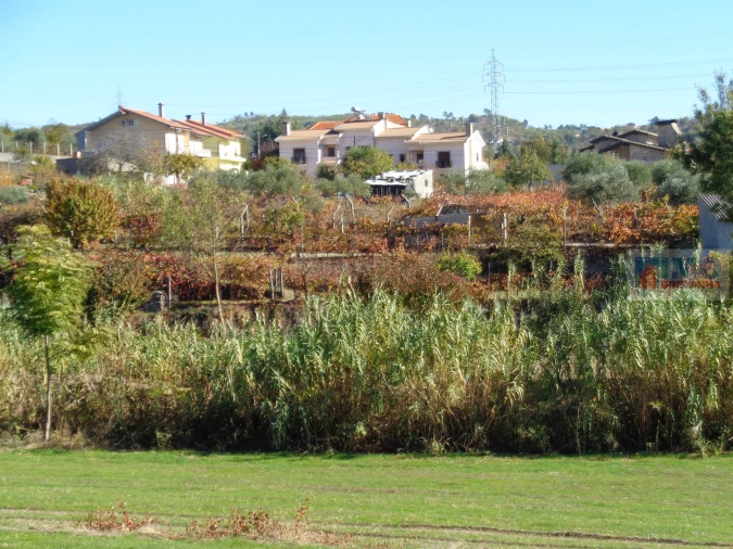 Terreno Misto para Venda em Teixoso e Sarzedo Foto 9