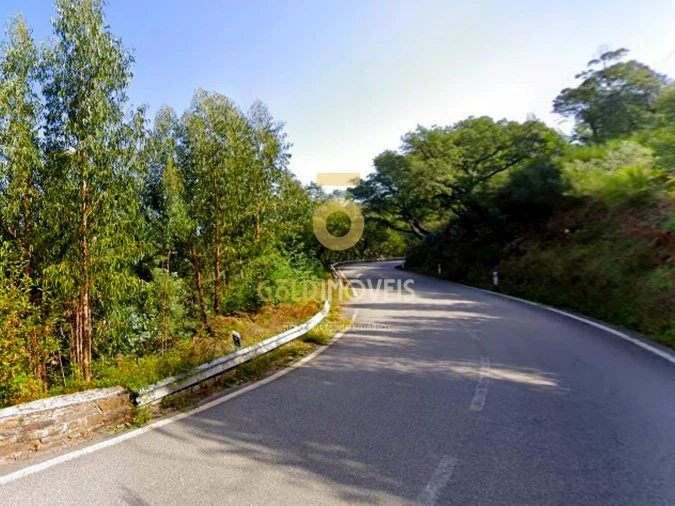 Terreno Agricola ou Rústico para Venda em Raiva, Pedorido e Paraíso Foto 1