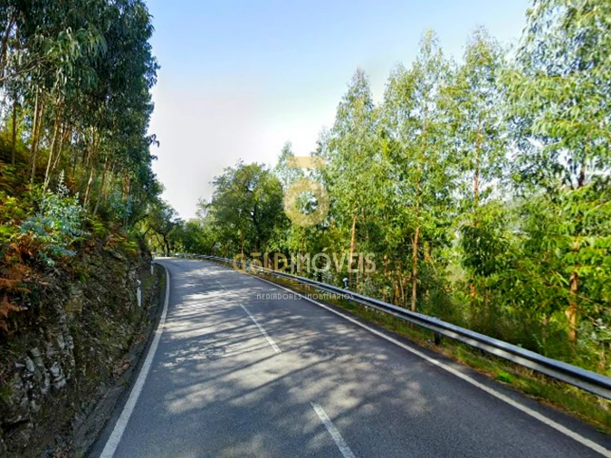 Terreno Agricola ou Rústico para Venda em Raiva, Pedorido e Paraíso Foto 4