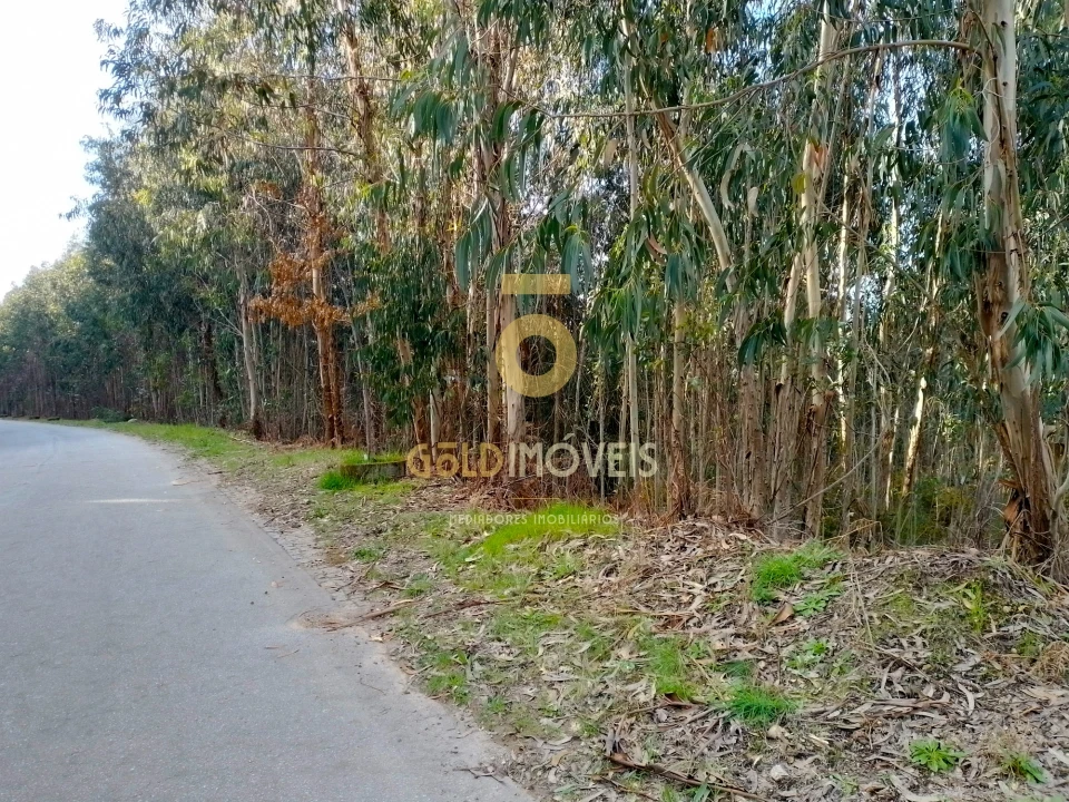 Terreno Agricola ou Rústico para Venda em Raiva, Pedorido e Paraíso Foto 1
