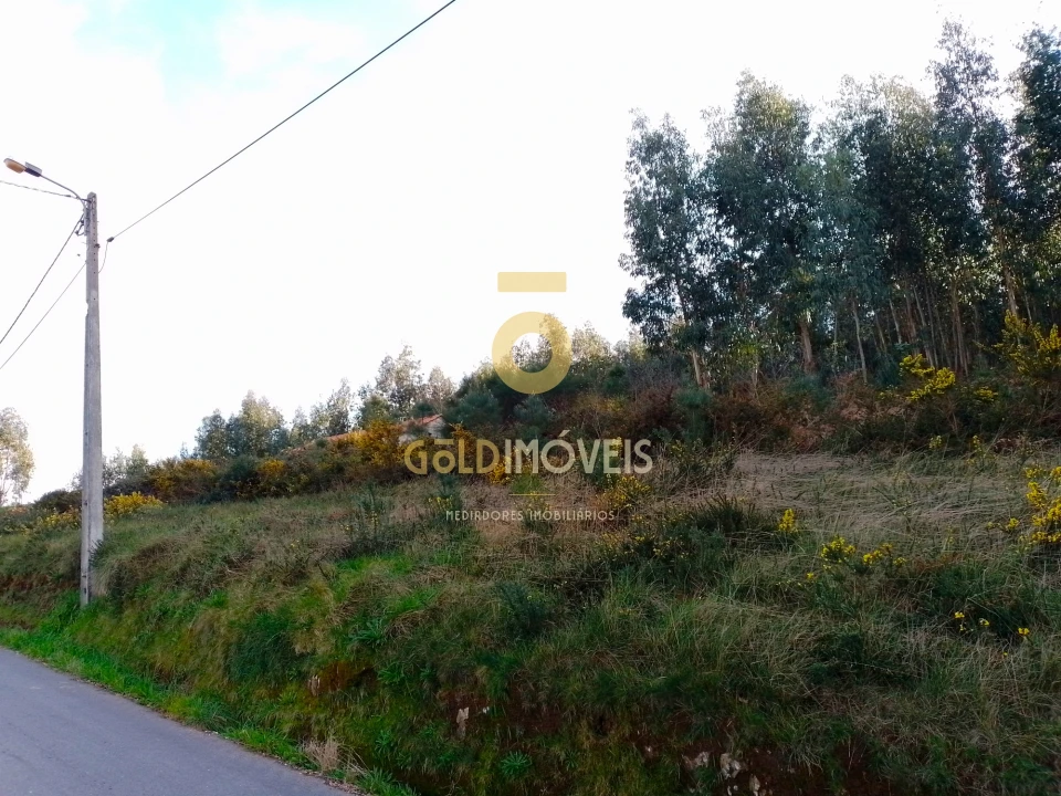 Terreno Agricola ou Rústico para Venda em Raiva, Pedorido e Paraíso Foto 4